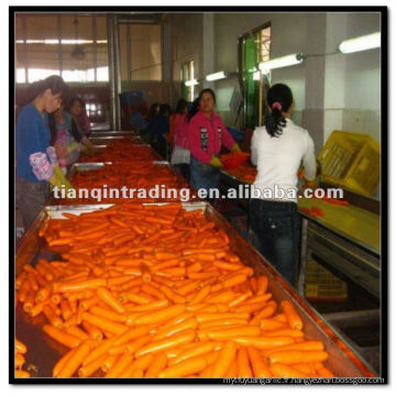 Carottes en gros de Chine